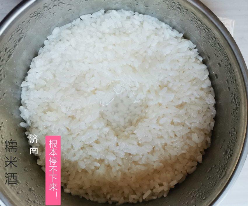 米酒，酒酿，醪糟