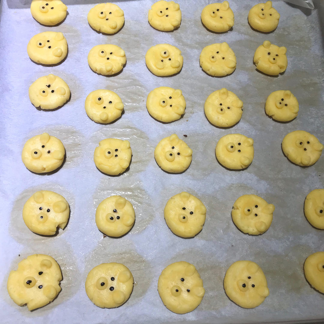 玛格丽特小熊饼干🐻