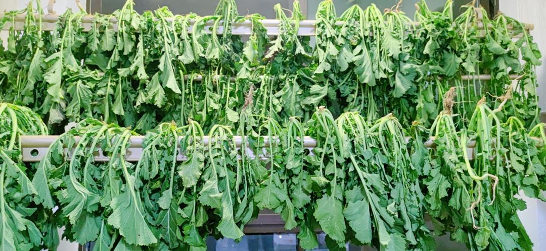 秘制野菜腌菜