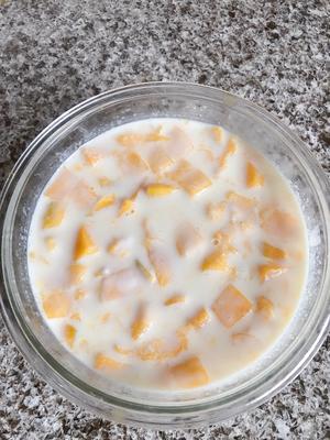 芒果酸奶牛奶布丁🍮的做法 步骤5