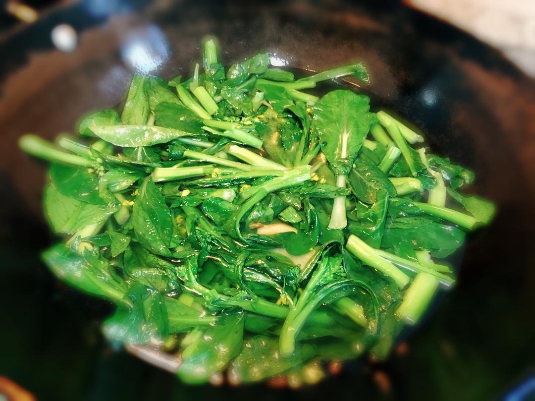 盐水菜心的做法