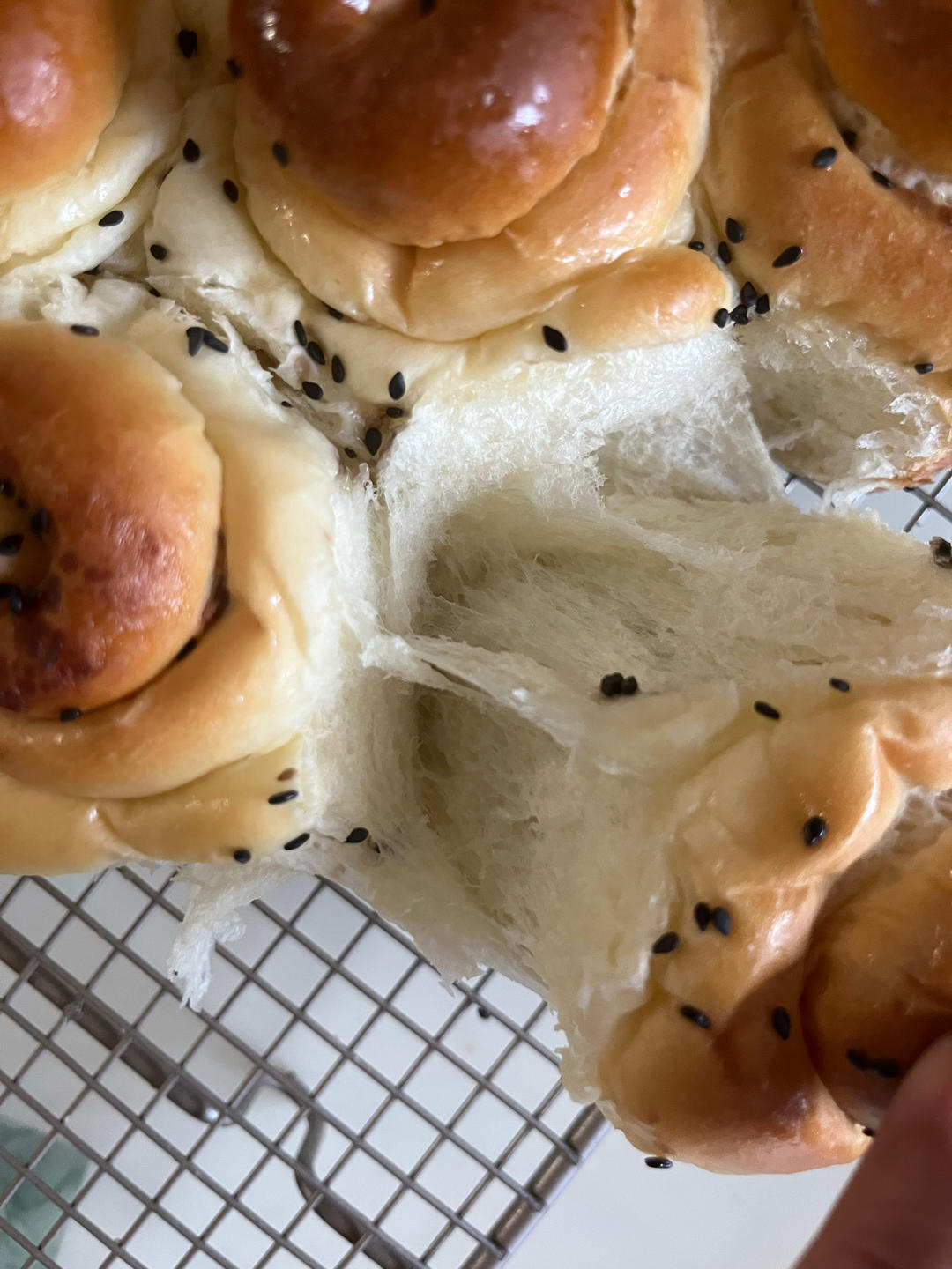 奶油蜂蜜小面包