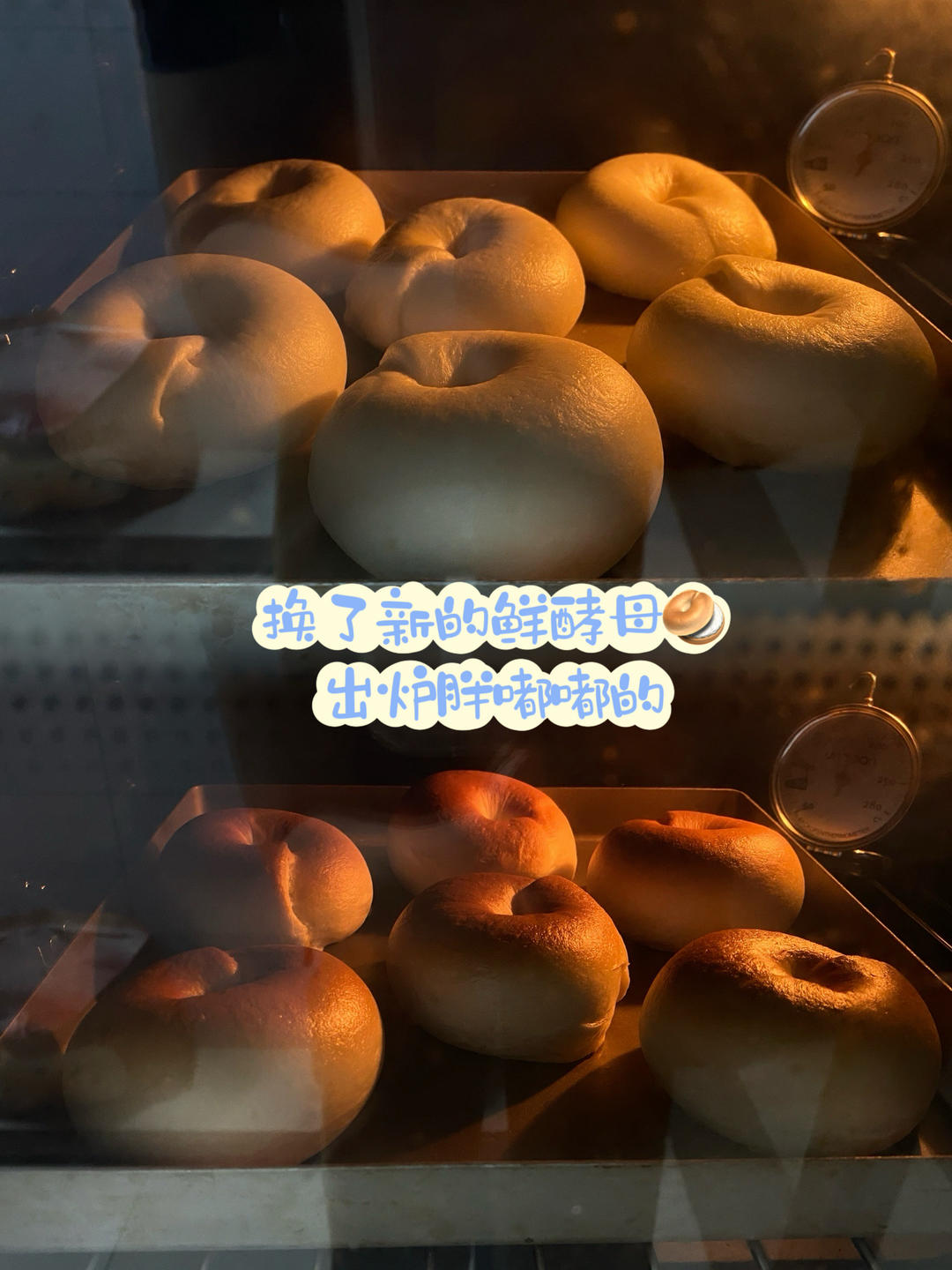 蓝莓🫐乳酪贝果🥯/步骤详细/简单好做