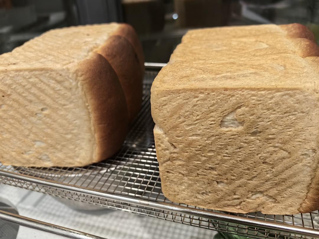 手揉全麦吐司🍞（轻松到哭泣的💧水合法）