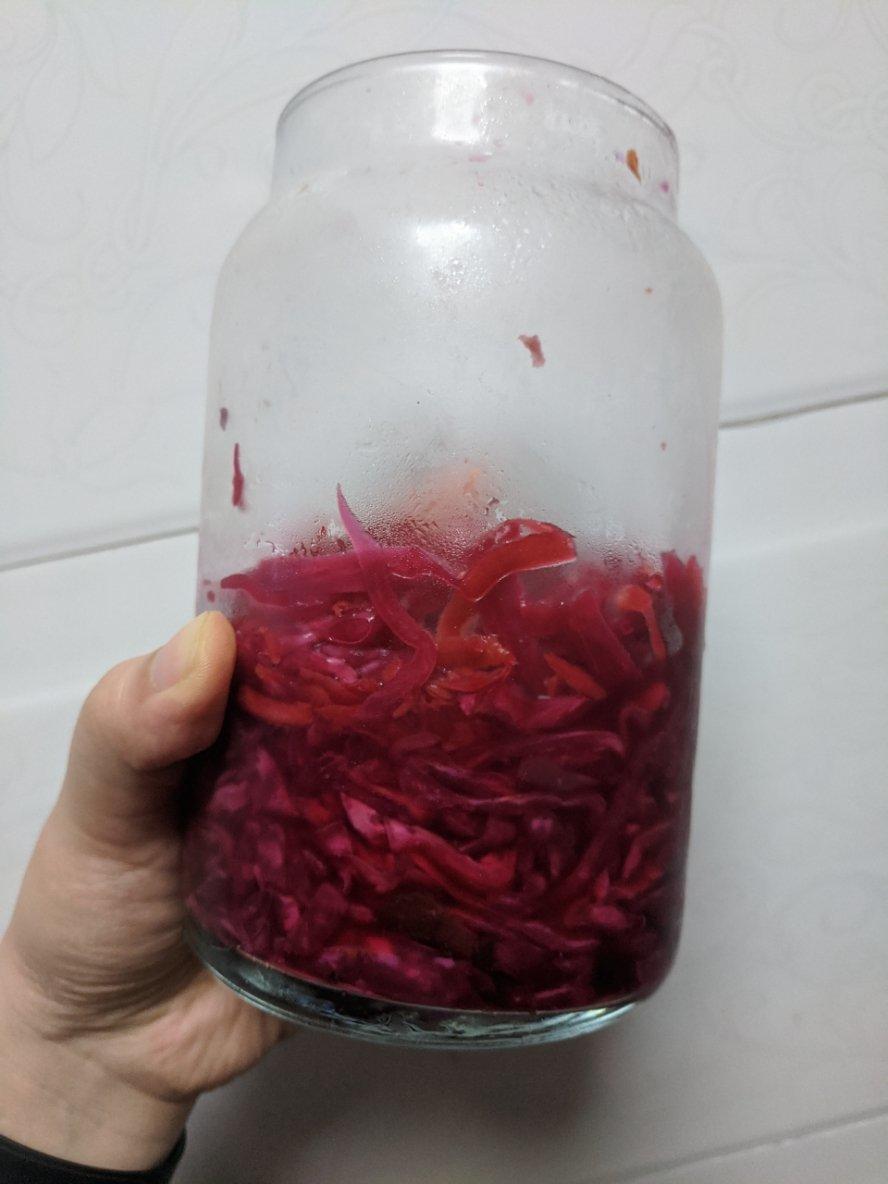 乳酸发酵酸菜丨健康·泡菜