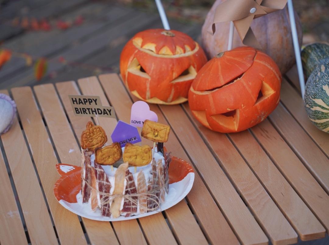 宠物蛋糕 狗狗蛋糕