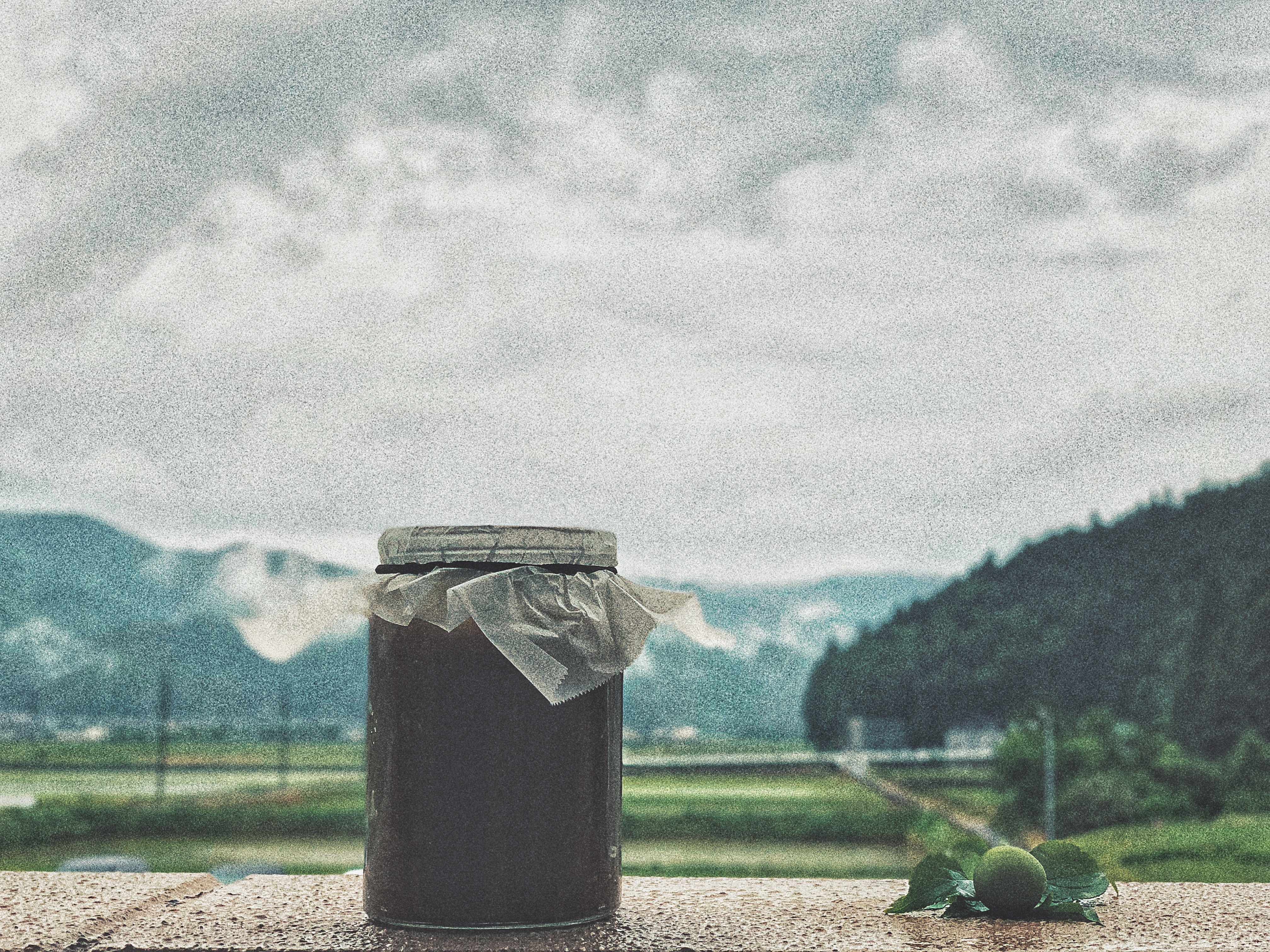 夏季养生青梅酱·梅子茶【韩国传统制作方法】的做法