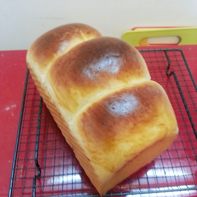 北海道牛奶吐司（100%冷藏中种法）