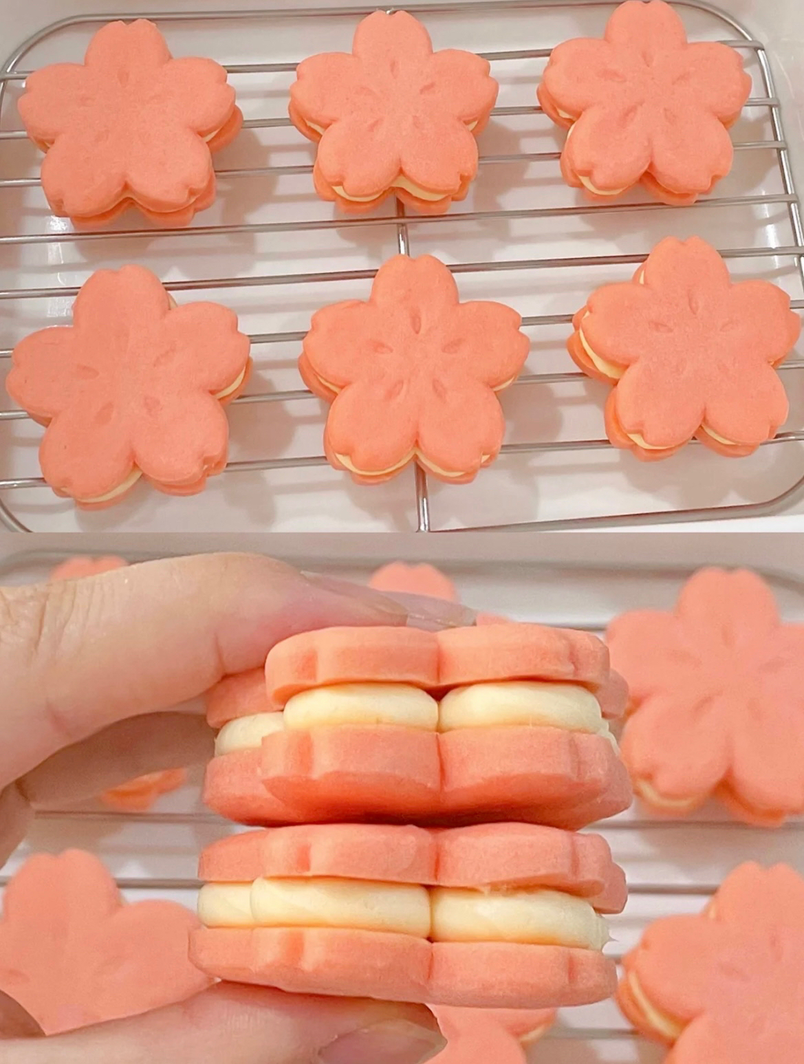 樱花🌸乳酪夹心饼干的做法