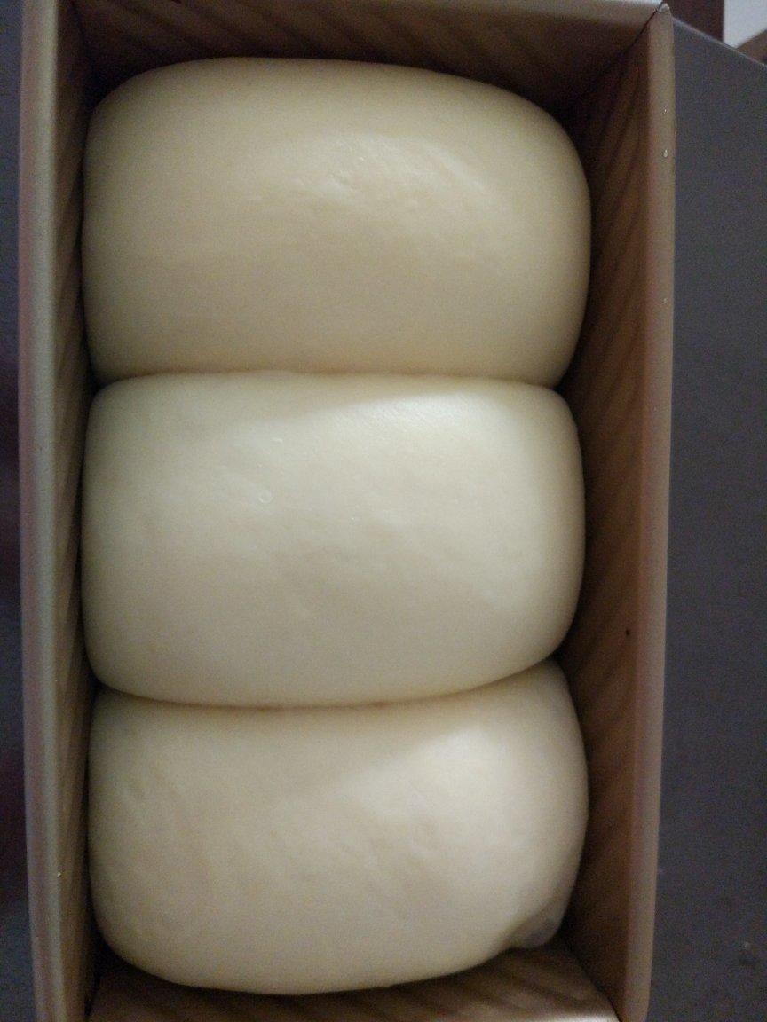 万用面包胚（冷藏中种法）