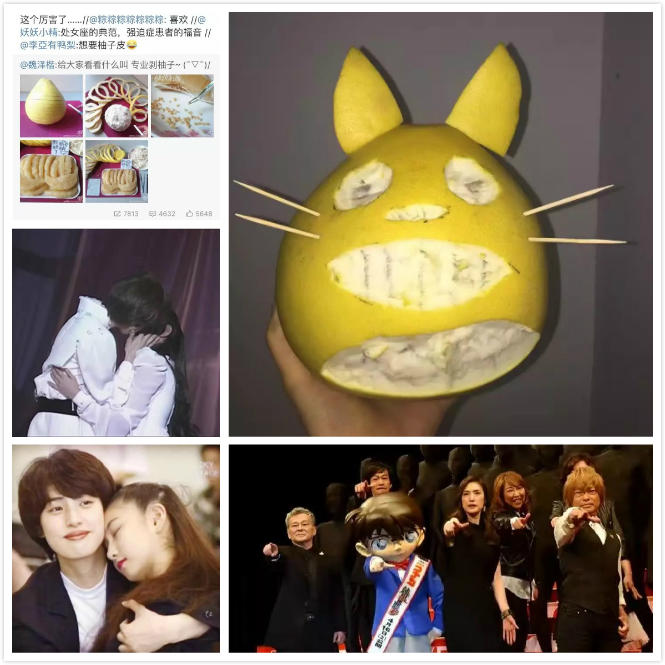 柚子变龙猫～