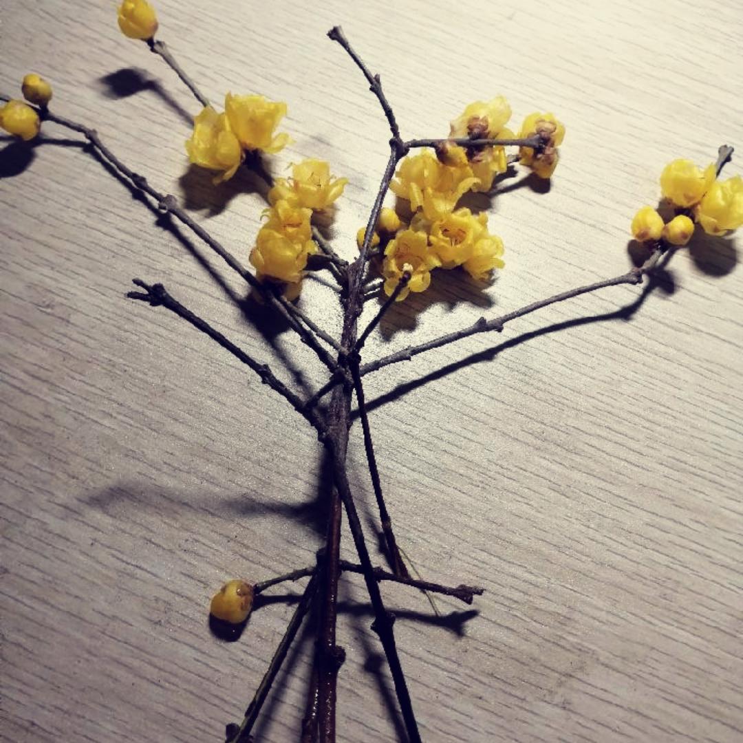 王小厨也在江湖