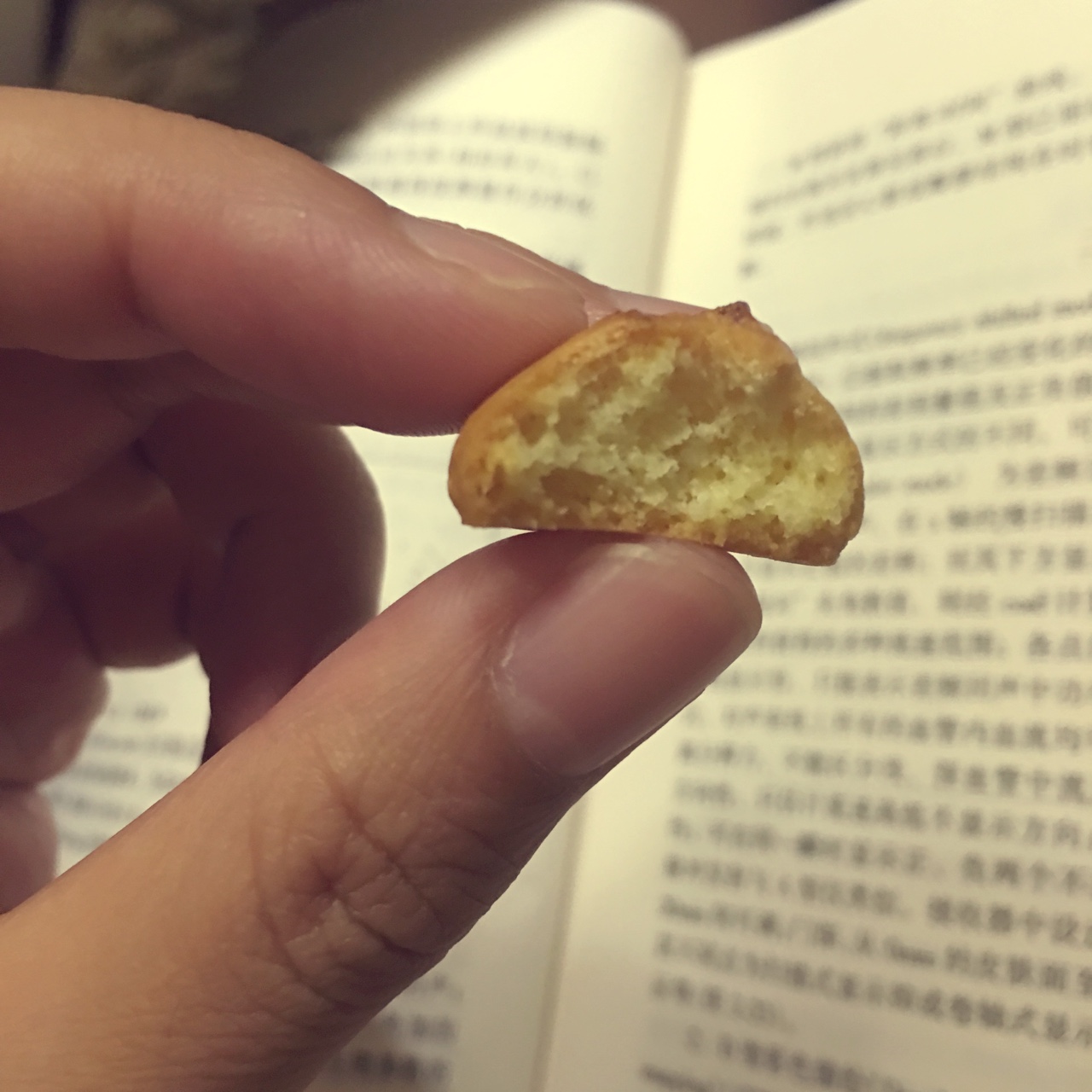 蛋黄饼干