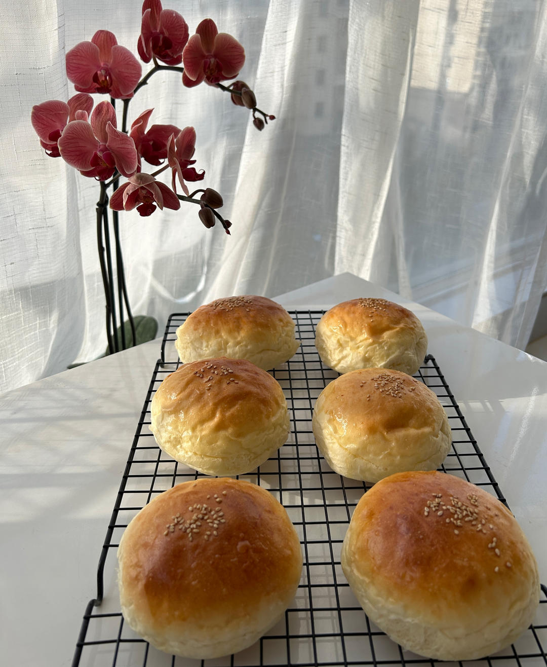 松软烫种汉堡胚