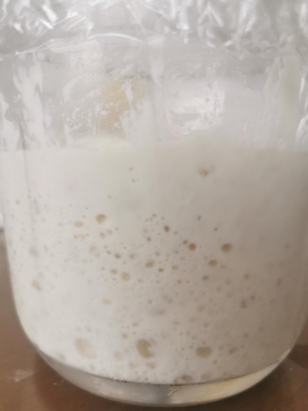 让面包变好吃的秘籍——波兰种