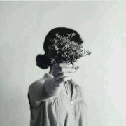 陈西禾
