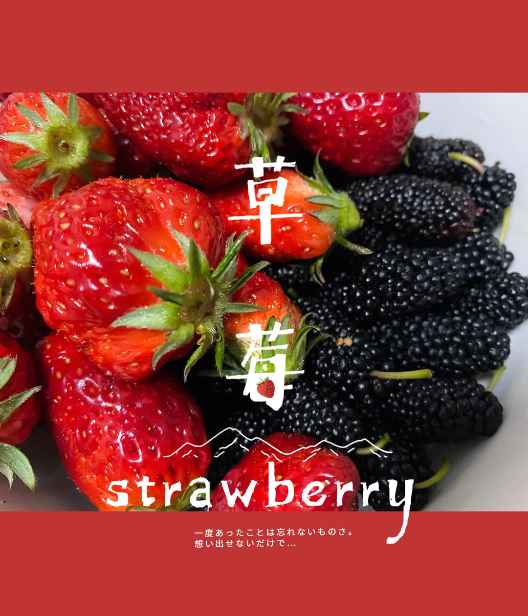 草莓和桑椹｛最佳清洗方法｝