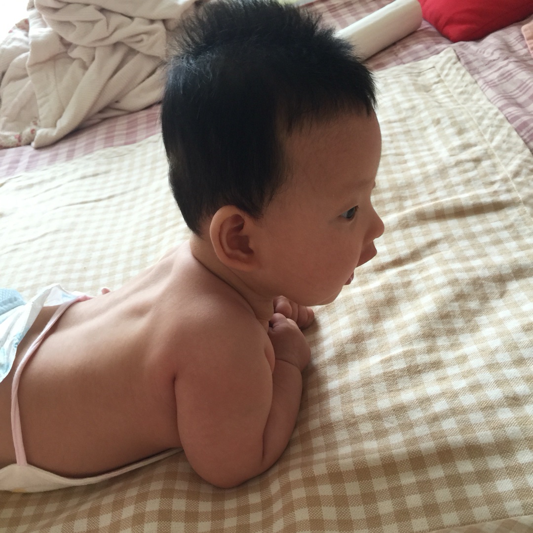 手机用户9977_vrd9