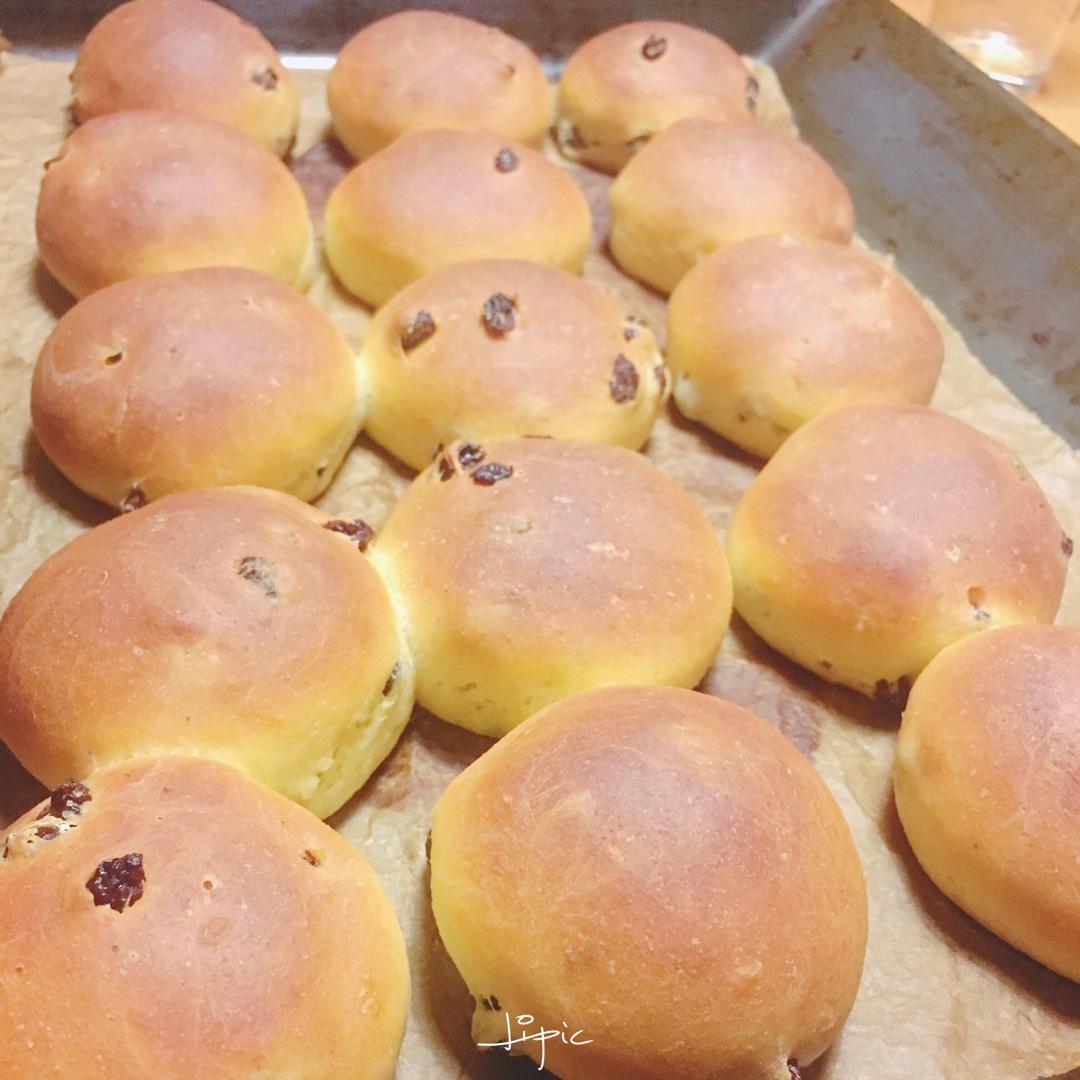 杜兰小麦蔓越莓小面包 Samolina Cranberry Bread Rolls
