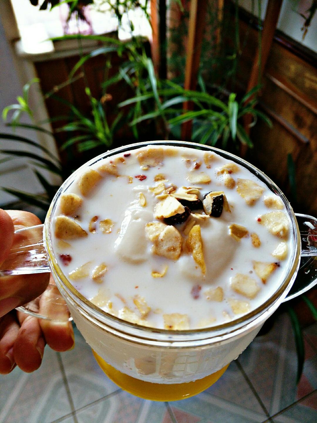 Granola(格兰诺拉)酸奶杯