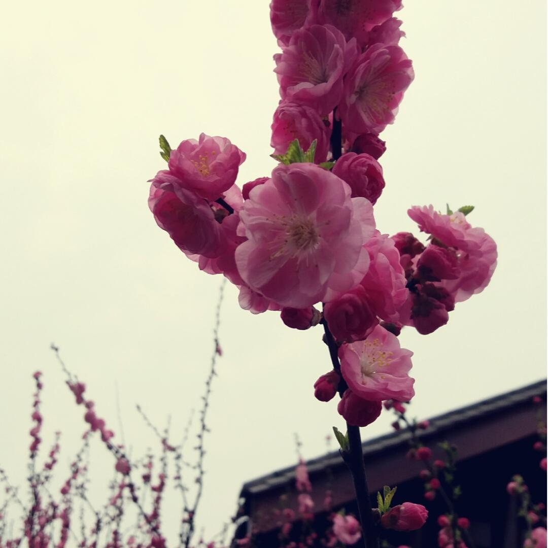 My嘻哈厨房