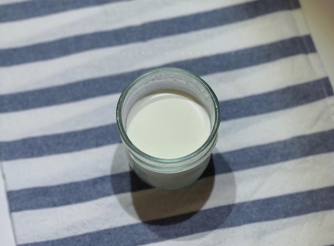 手工无糖镜面老酸奶