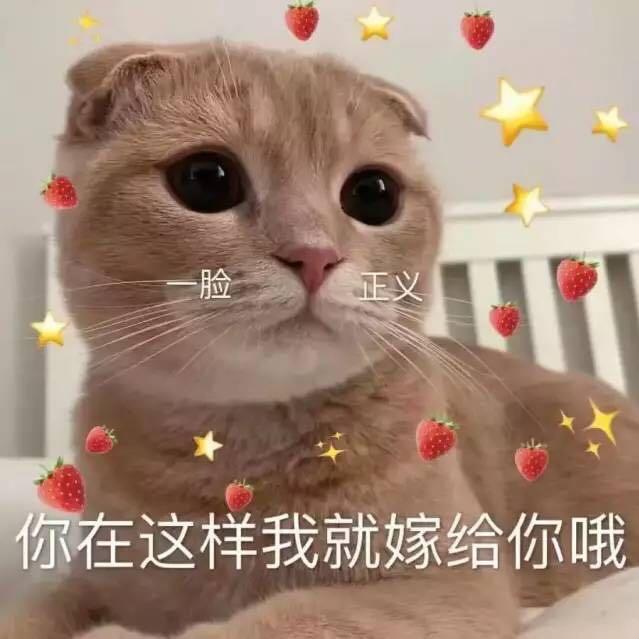 我信异想才有日会天开