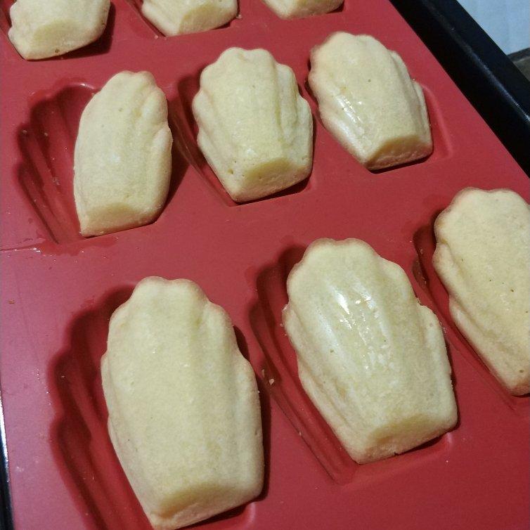 简单的贝壳蛋糕