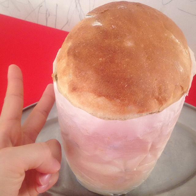 免揉迷你吐司（藤田千秋）