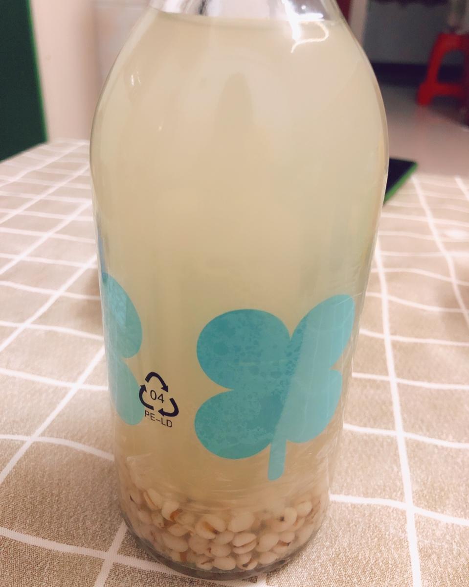 冰镇薏米水