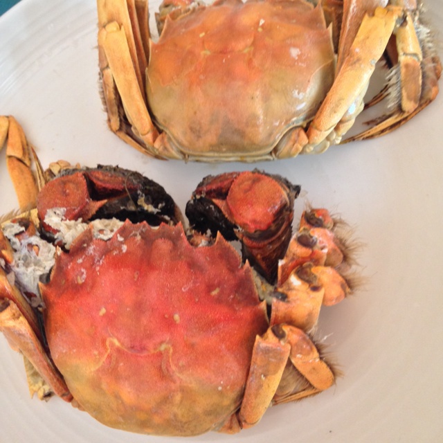 盐烤蟹