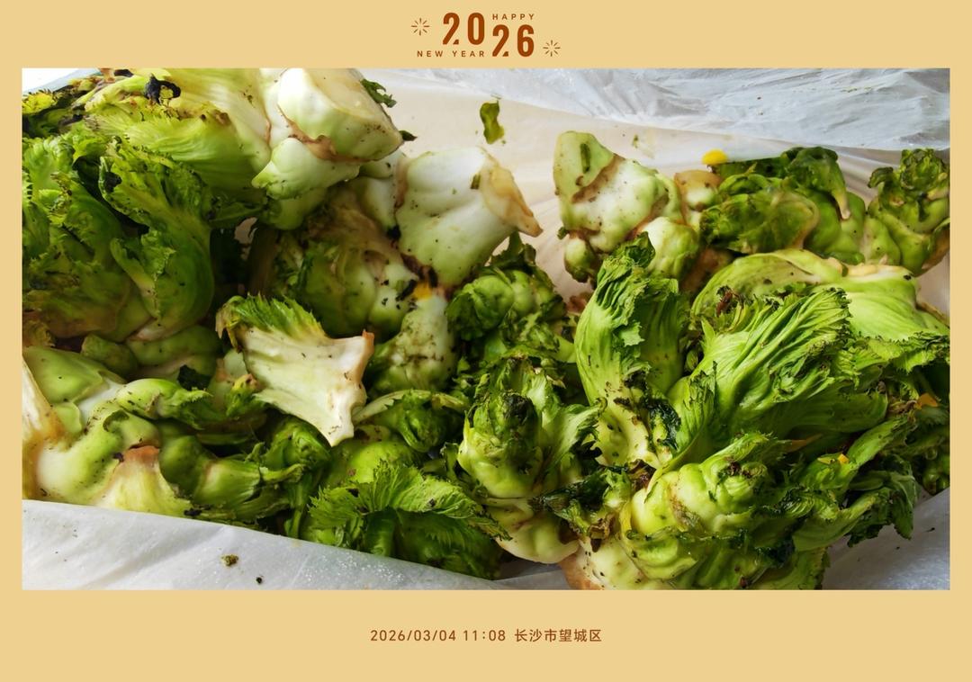 外婆的儿菜炒肉