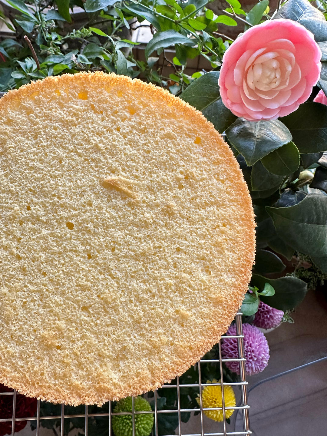 六寸戚风蛋糕(掌握这几点，做戚风就跟煮米饭一样简单)