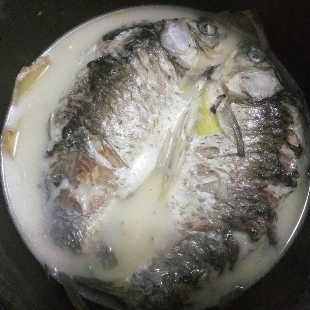 奶白鲫鱼汤（只加葱、姜、白胡椒粉）