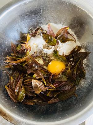 平谷特色农家菜炸香椿鱼的做法 步骤2