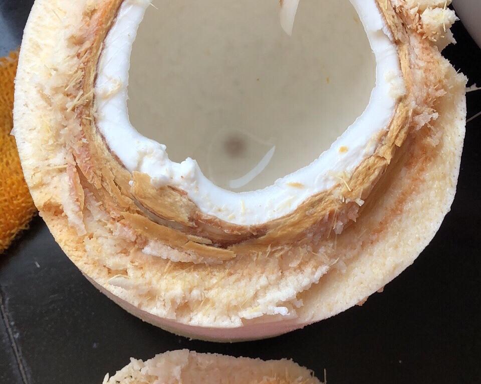 椰子鸡做法的做法