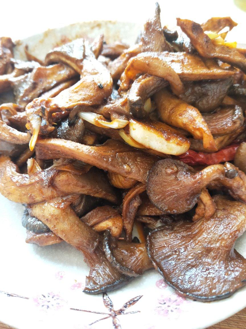 子小婷丫婷做的好吃的干煸孜然蘑菇