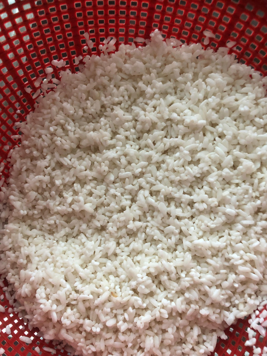 蒸笼蒸饭，粒粒分明！㊙️最好吃的大米饭做法！