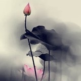苏三5268