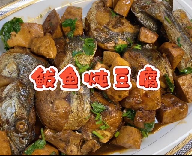 红烧鲅鱼炖豆腐【下饭菜本菜】