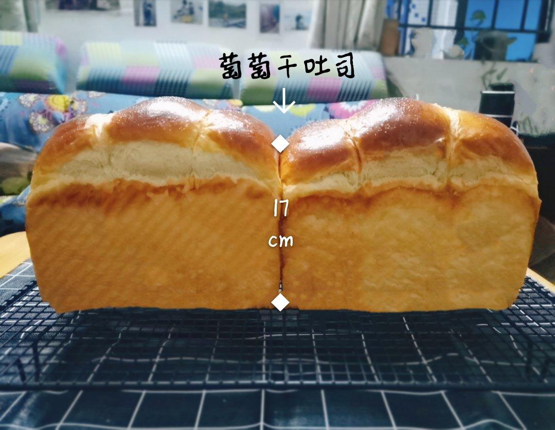 我最近每天做一个的葡萄干吐司，真的超松软好吃！