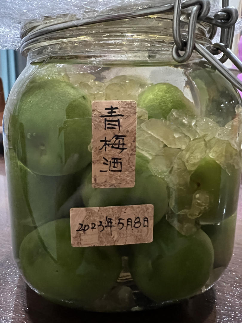 【青梅酒】梅子的沉醉时光（已填坑）