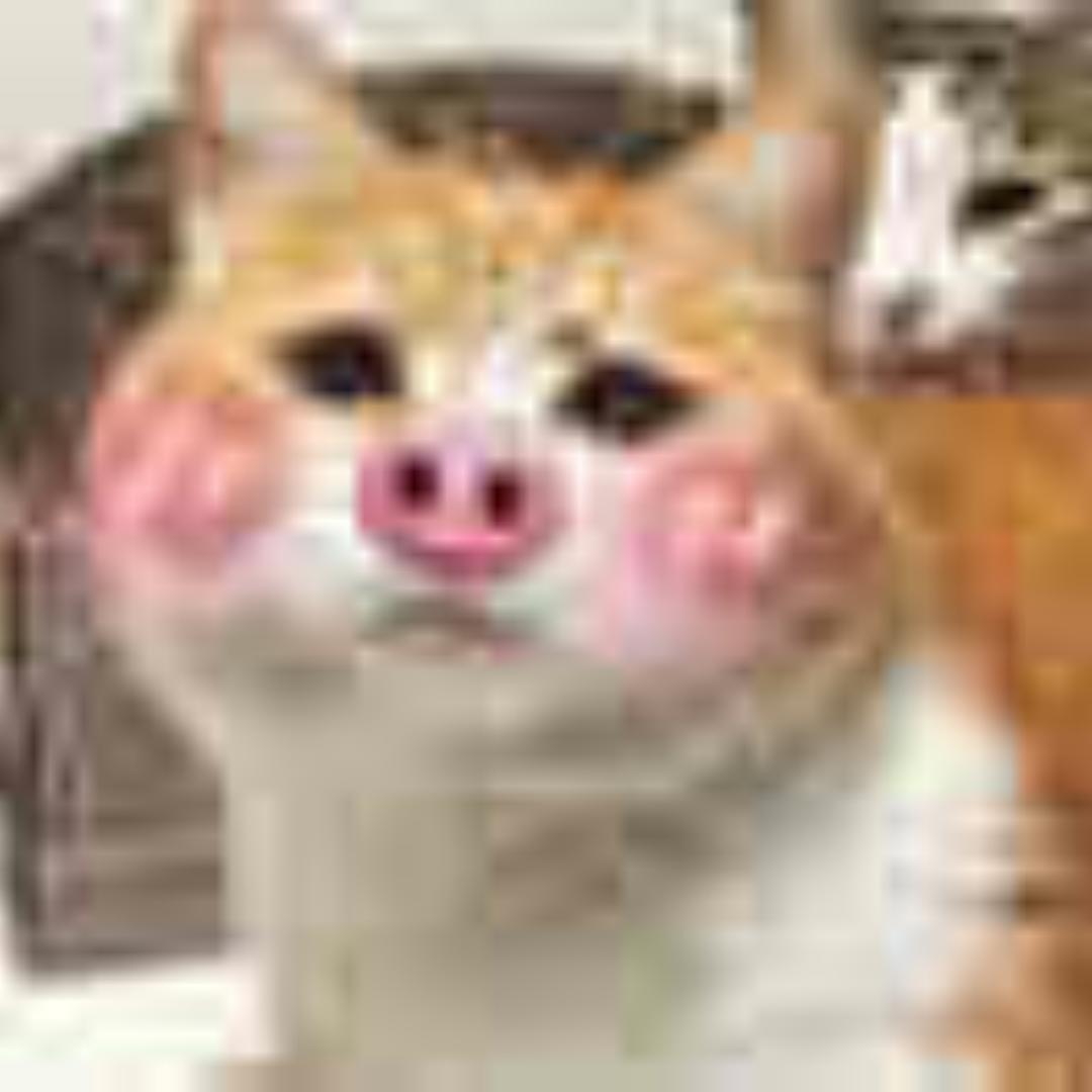 光头王八兽