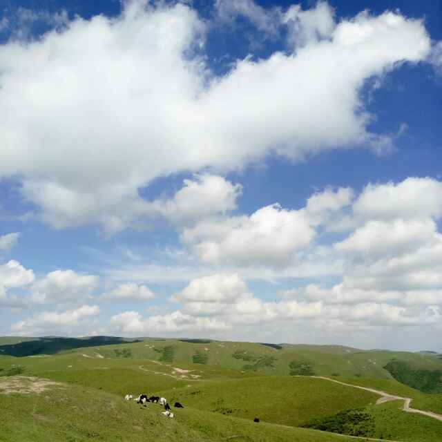 vivijiangmin