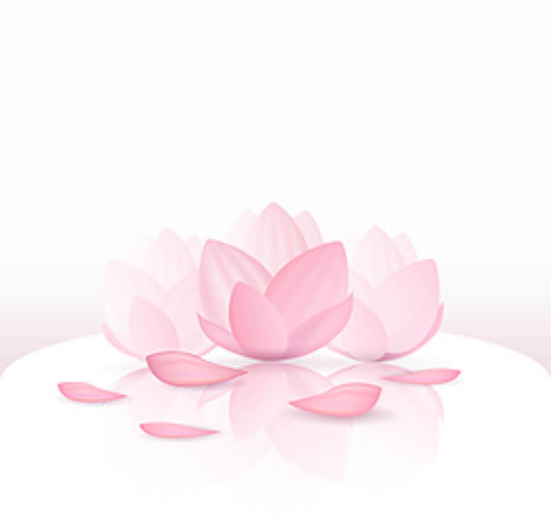 下厨房用户_udk1a