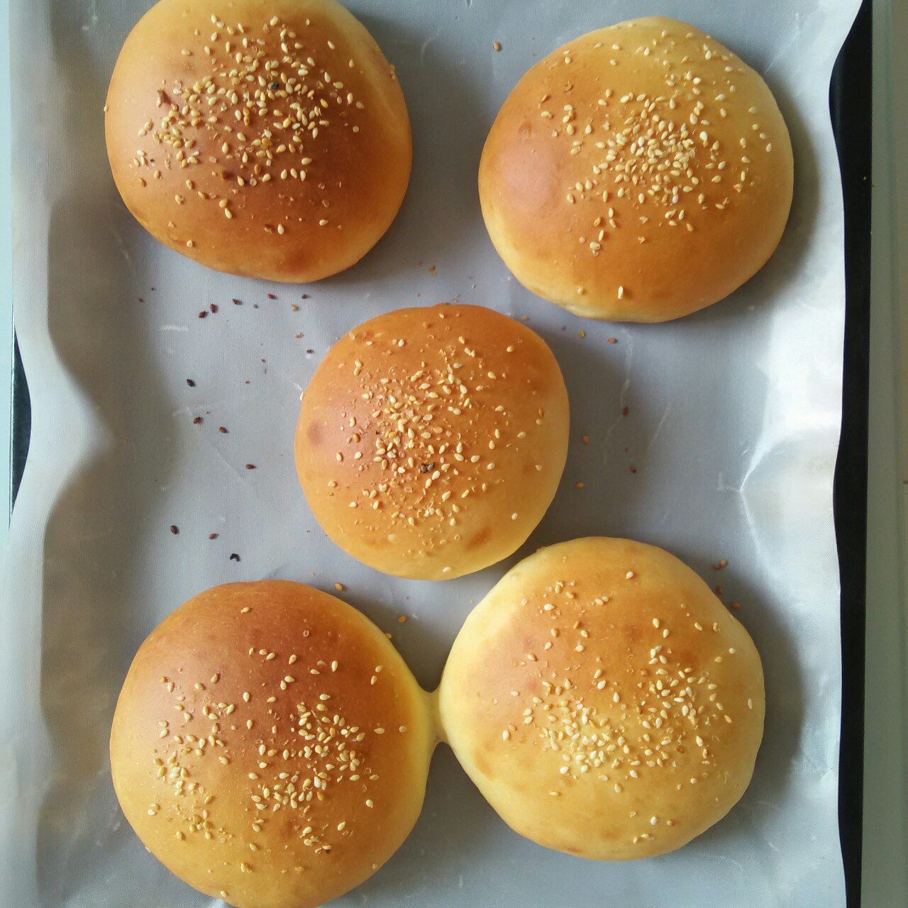 汉堡（基础汉堡胚做法）