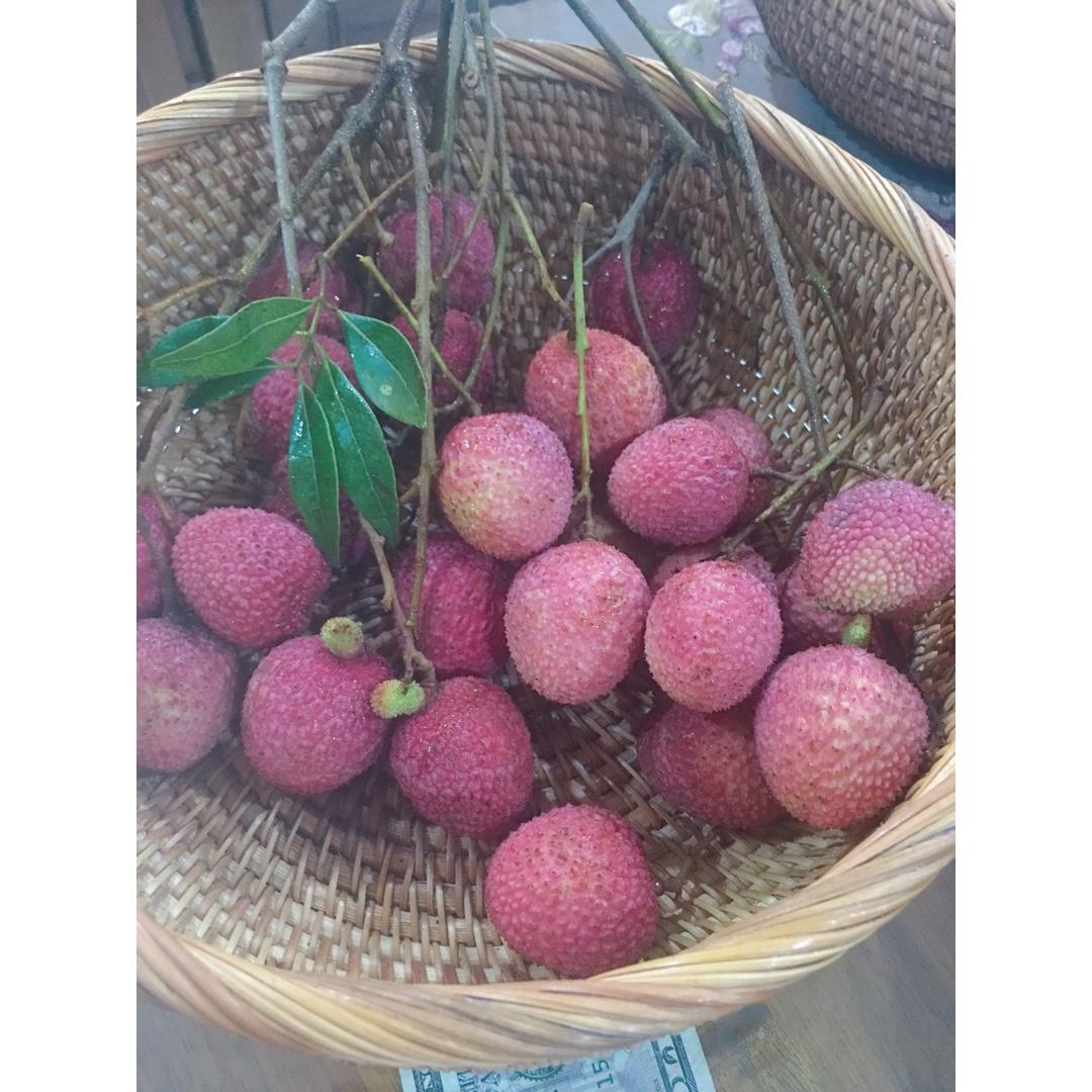 我的减脂冲刺日志