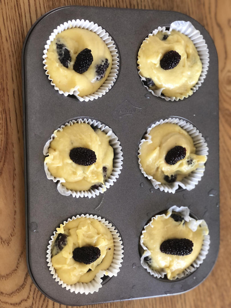 蘑菇头蓝莓麦芬