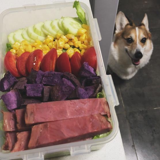 OAの便当