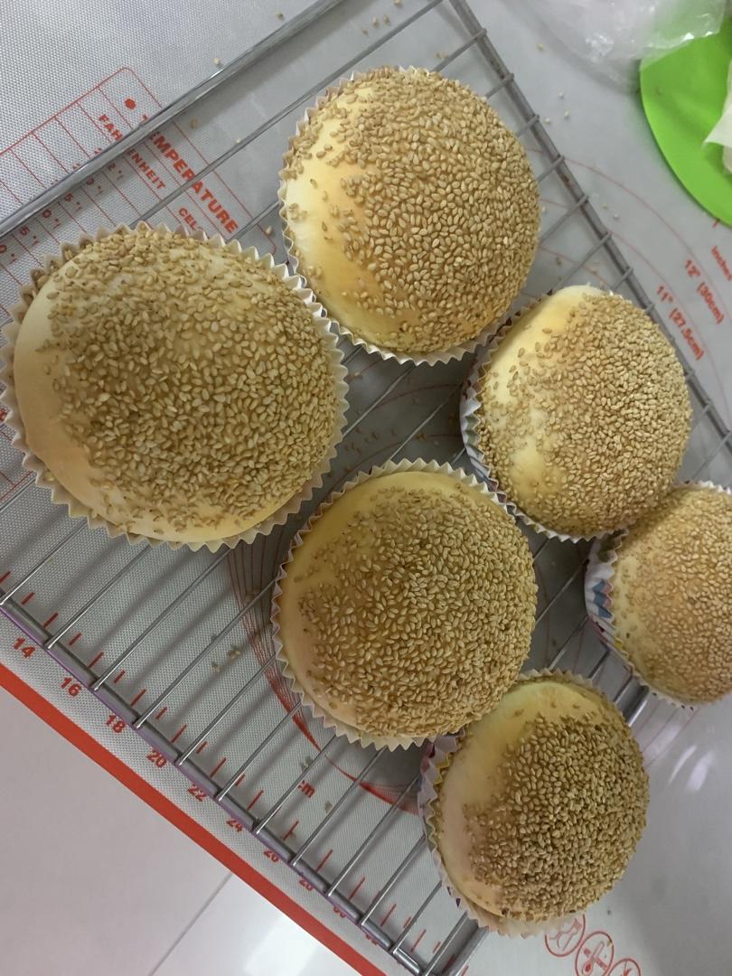 鲜奶汤种汉堡胚